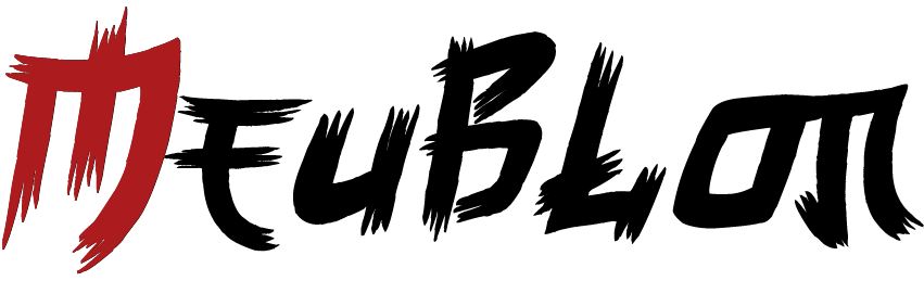 Logotype Meublon bicolore