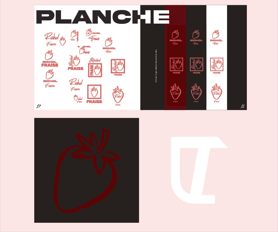 Charte Richol : planche de recherche et dos du livret