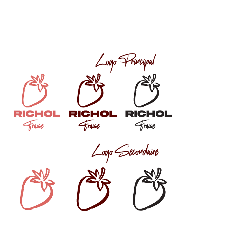 Logo principal et logo secondaire Richol, dans les quatre déclinaisons de la charte